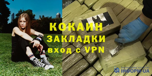 apvp Вяземский
