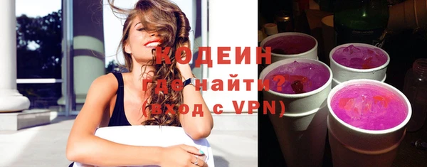 apvp Вяземский
