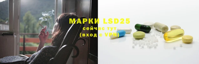 apvp Вяземский