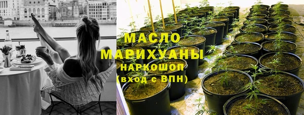 apvp Вяземский