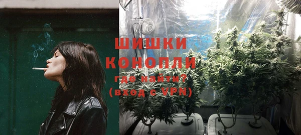 гашик Горнозаводск