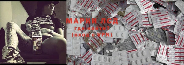 apvp Вяземский