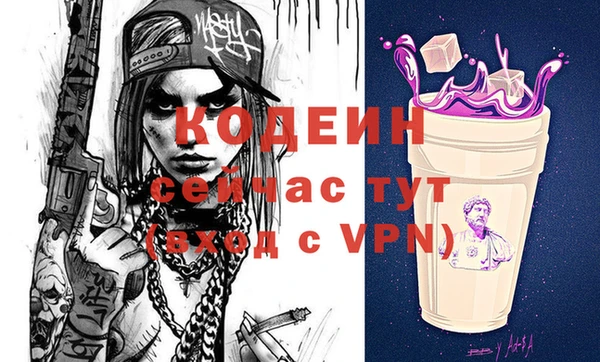 apvp Вяземский