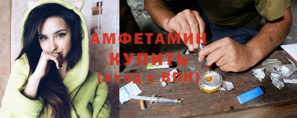 apvp Вяземский