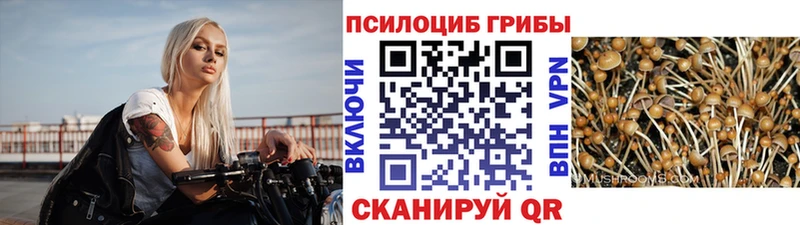 Купить закладки  Белокуриха  Галлюциногенные грибы прущие грибы 