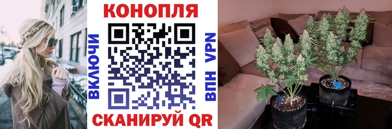 Конопля конопля Купить закладки Белокуриха